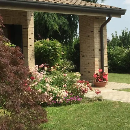 فندق مبيت وإفطار B&B Alla Suite بيفي دي سوليغو